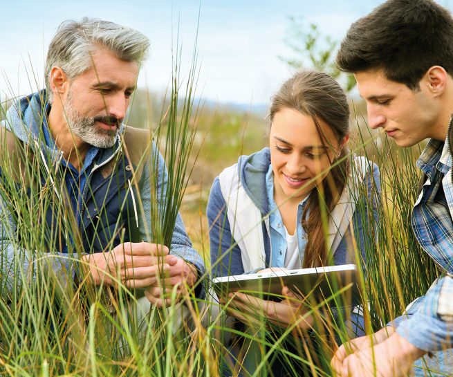 Eine Frau mit Tablet und zwei Männer sitzen im Gras und alles sehen auf das Tabelt